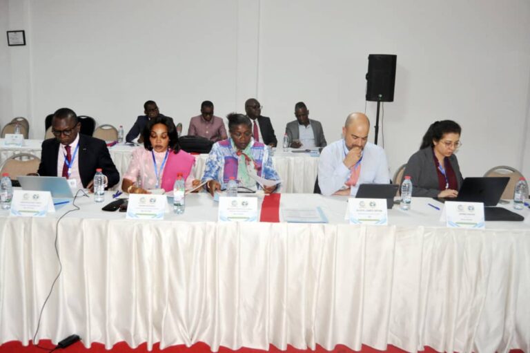 DGPP_CEMAC_6